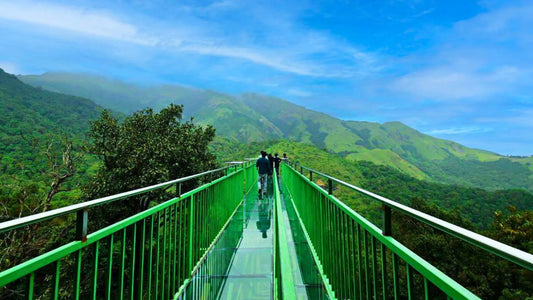 Bangalore – Wayanad – Ooty – Bangalore